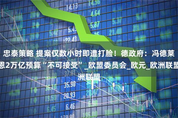 忠泰策略 提案仅数小时即遭打脸！德政府：冯德莱恩2万亿预算“不可接受”_欧盟委员会_欧元_欧洲联盟