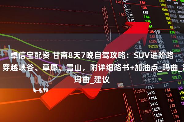 卓信宝配资 甘南8天7晚自驾攻略：SUV进阶路线，穿越峡谷、草原、雪山，附详细路书+加油点_玛曲_建议