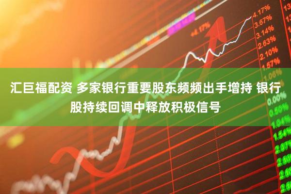 汇巨福配资 多家银行重要股东频频出手增持 银行股持续回调中释放积极信号