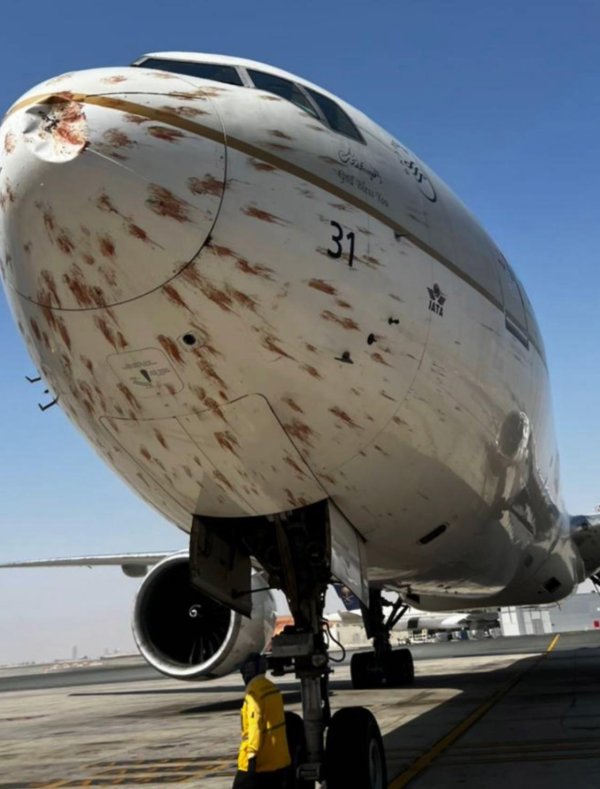 创达盈配资 外媒：沙特航空公司一客机飞行途中与群鸟相撞，机身出现划痕，该机安全返航